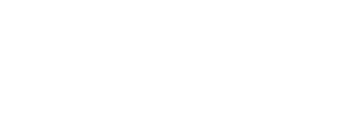 Blue Earth Village Logo