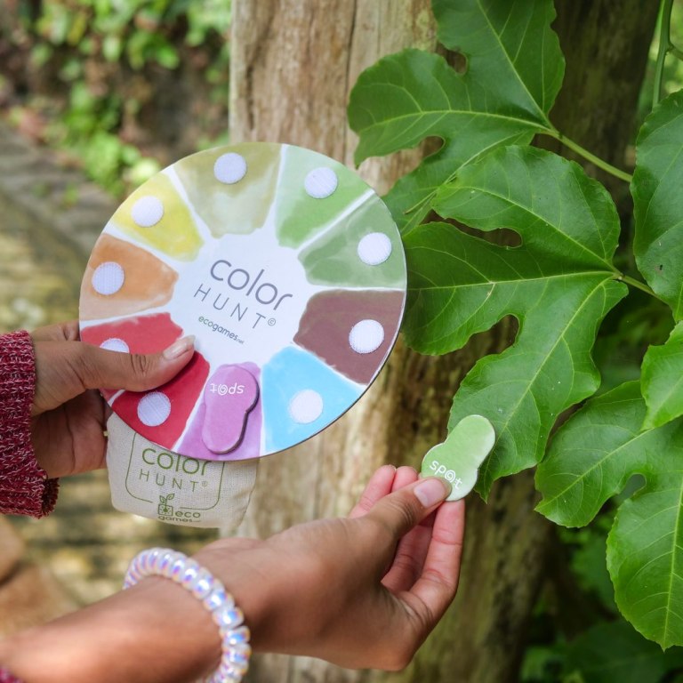 Color Hunt - Ecogames